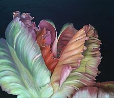 Traute Ziegenfuss, parrot tulip III 2019 oil 60x70 cm